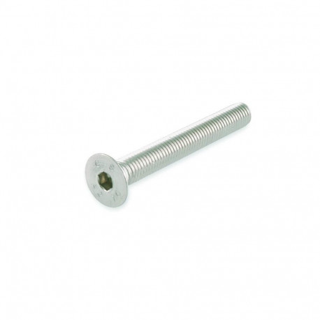 SOCKET SCREW M 6X30 A2-70 DIN7991/ 4PCS
