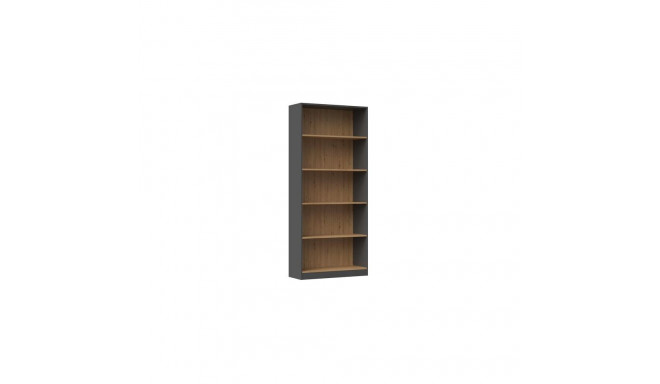 Topeshop R80 ANT/ART office bookcase