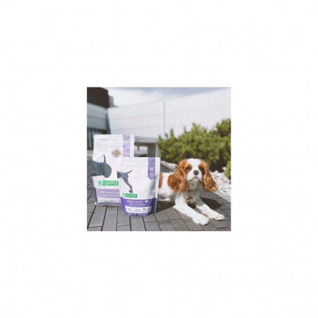 Dog Food - NATURE'S PROTECTION Adult Lamb 12kg 24% Protein
