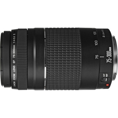 Canon Ef 75 300mm F 4 5 6 Iii Lenses Photopoint