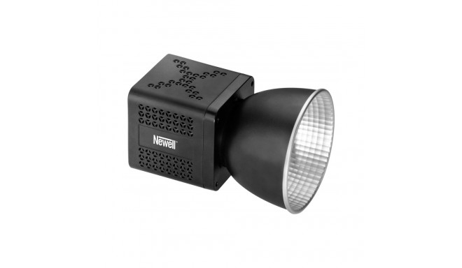 Newell Tara RGB LED Light