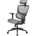Sharkoon office chair OfficePal C30M, gaming chair (grey)
