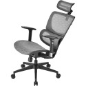 Sharkoon office chair OfficePal C30M, gaming chair (grey)