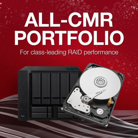 IronWolf Pro NAS 20 TB CMR (SATA 6 Gb/s, 3,5")