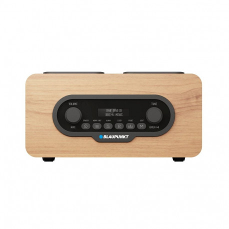 Blaupunkt kaasaskantav raadio DR10CR, pruun, must