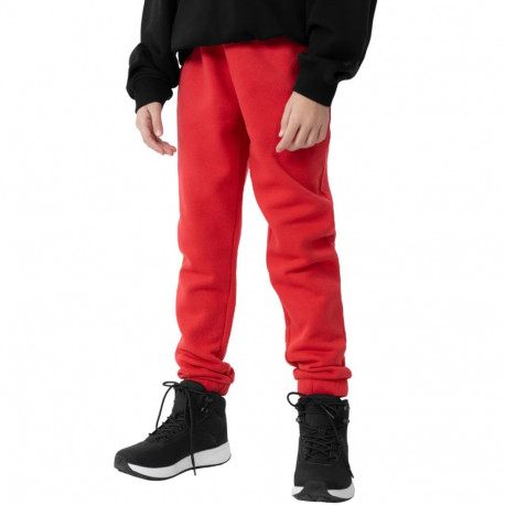 4F tüdrukute püksid HJZ22 JSPDD002 62S 146cm, punane