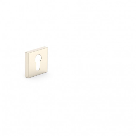 CYLINDER ESCUTCHEON SATIN NICKEL