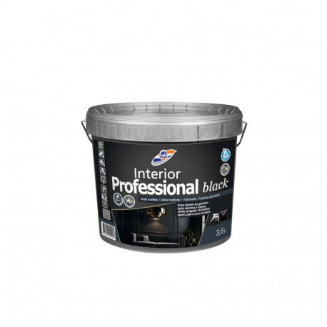 PAINT INTERIOR PROFESSIONAL BLACK 3.6L