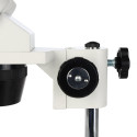 Byomic Stereo Microscope BYO-ST3