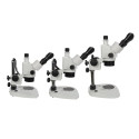 Byomic Stereo Microscope BYO-ST341 LED