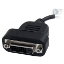 "DISPLAYPORT DVI ACTIVE ADAPTER"