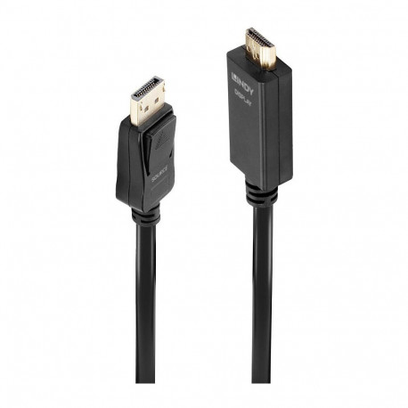 "LINDY DisplayPort an HDMI Kabel 4K30 (DP: passiv) 2m"