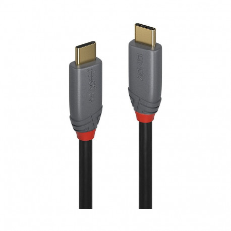 "LINDY USB 3.1 Kabel Typ C/C 5A PD Anthra Line M/M 1.5m"