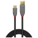 "LINDY USB 3.1 Kabel Typ A/C 5A PD Anthra Line M/M 1m"
