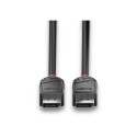 "LINDY DisplayPort Kabel Black Line 2m"