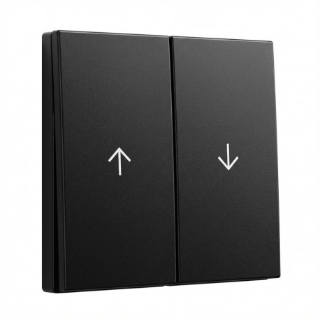 "GIRA 3294005 Wippe 2f Pfeil System 55 Schwarz m"