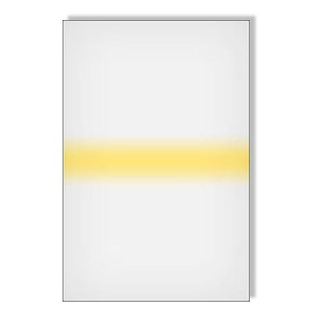Lee filter Yellow Stripe