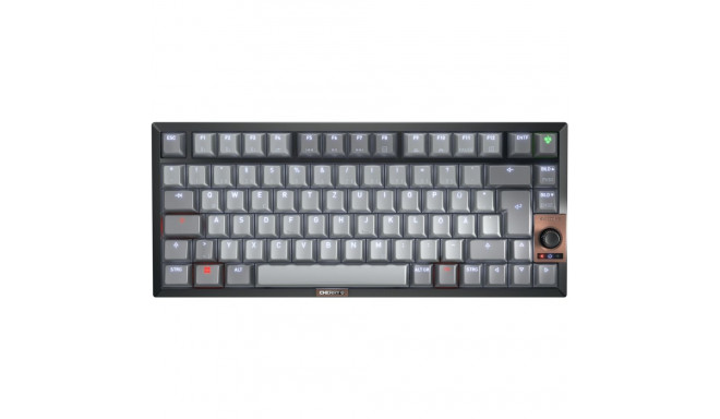 "Cherry Keyboard Wireless; MX 2A brown"