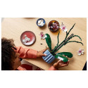"LEGO Creator Botanicals Collection Orchidee 10311"
