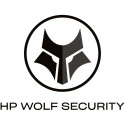"G HP 4y Wolf Pro Security 100-499 E-LTU"