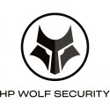 "G HP Wolf Pro Security 3 Jahre 500+ E-LTU"