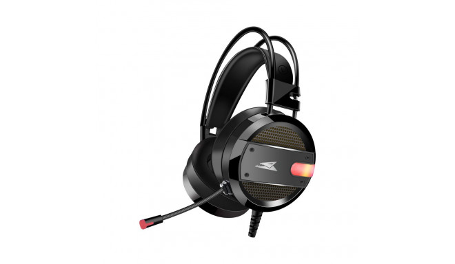 Baracuda BGH-031 Conch Black