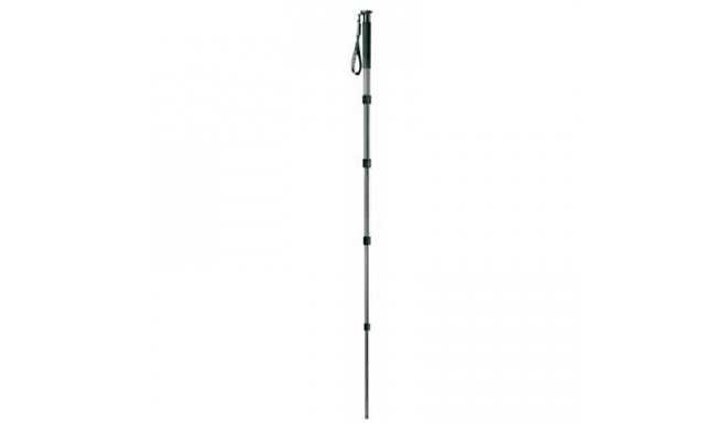 Gitzo monopod GM3551