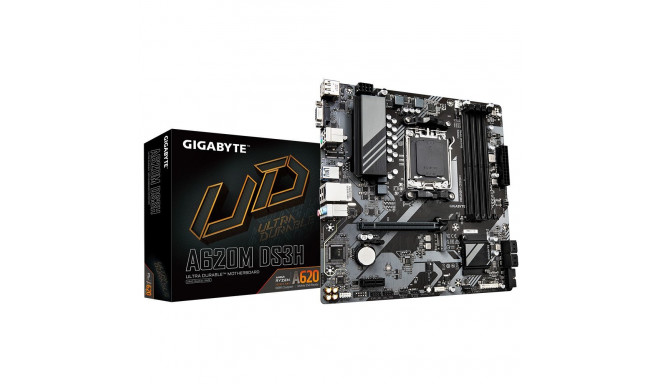 "GA-A620M DS3H (AM5) (D)"