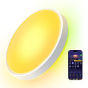 Govee Round Smart Ceiling Light kattovalaisin