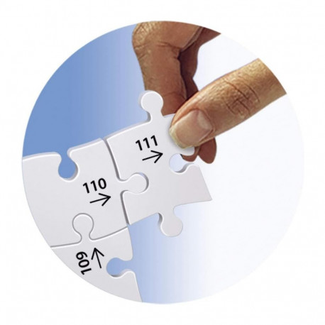 Ravensburger 3D pusle 216 tk Empire State Building