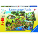 Ravensburger pusle Loomad 3x49tk
