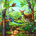 Ravensburger pusle Loomad 3x49tk