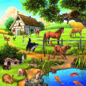 Ravensburger pusle Loomad 3x49tk