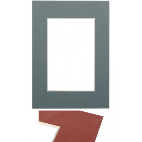 Paspartū 30x40, zilgans