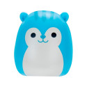 SQUISHMALLOWS SQUISH-A-LONGS minifiguuride komplekt pimepakis, 2 tk, 2,5 cm