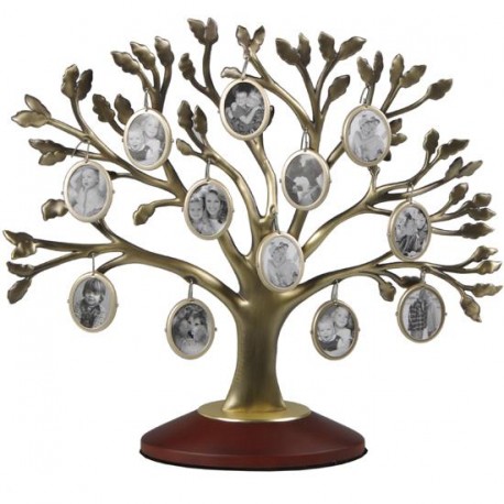 Pildiraam CK 901 12x0 G BR Family