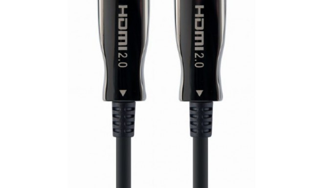 Cable AOC High Speed HDMI with ethernet premium 30 m