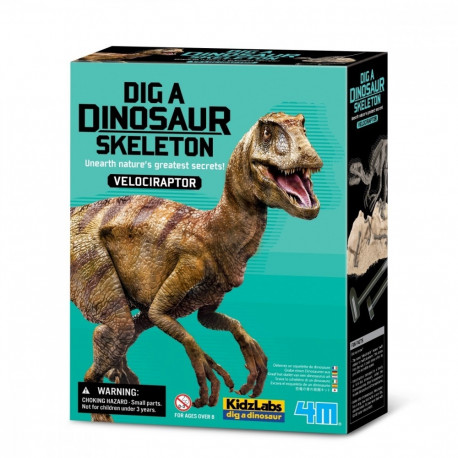 Dig-a-Dino: Velociraptor Skeleton Kit
Product Description:
Play th