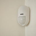 Internal motion sensor