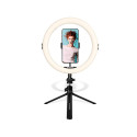 AGFA ARL11 Ring Light + Tripod