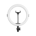 AGFA ARL11 Ring Light + Tripod