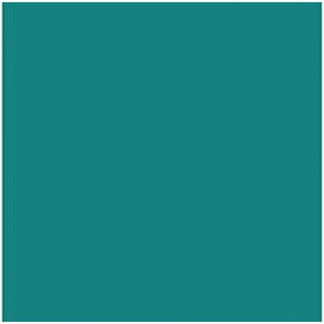 Card Iris Mint 50 x 65 cm