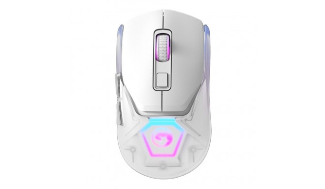 Mouse Marvo FIT PRO White (1 Unit)