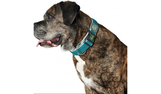 Dog collar Hunter Plus Thread Turquoise 11