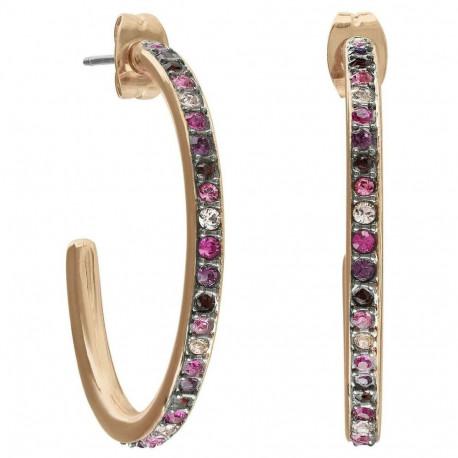 Naiste Kõrvarõngad Adore 5448551 3 cm