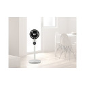 Beper P206VEN161
