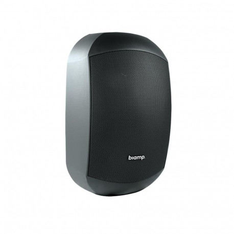 6,5" kõlar Apart Mask, klickmount, must