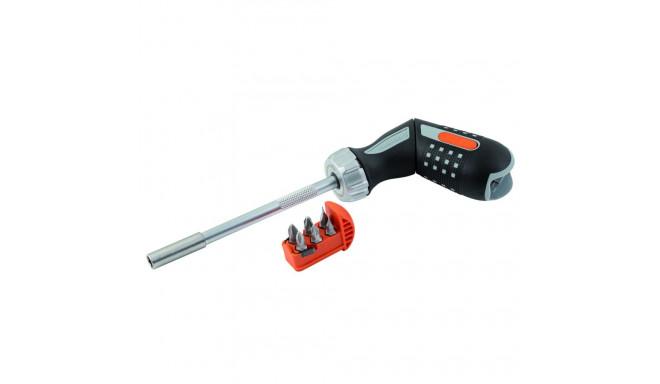 Pistol handle ratcheting screwdriver with bits PH1/2,PZ1/2,SL4,5/5,5 6 pcs