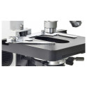 Microscope Bresser Erudit DLSX 40x - 600x