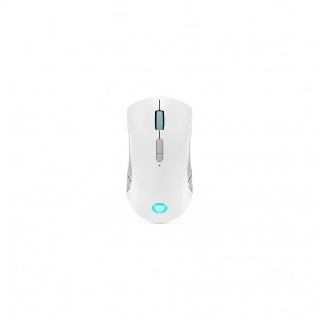 Lenovo Legion M600 Wireless Gaming mouse Ambidextrous RF Wireless + Bluetooth + USB Type-A Optical 1